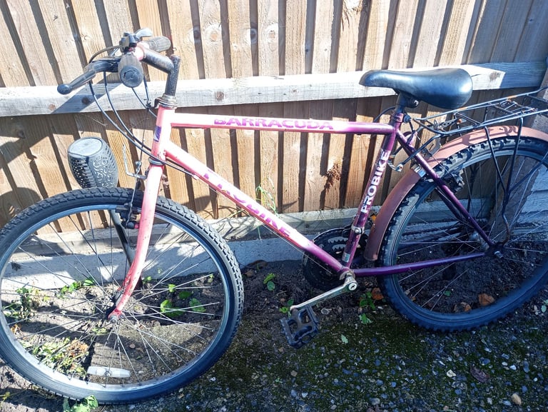 Barracuda Push Bike