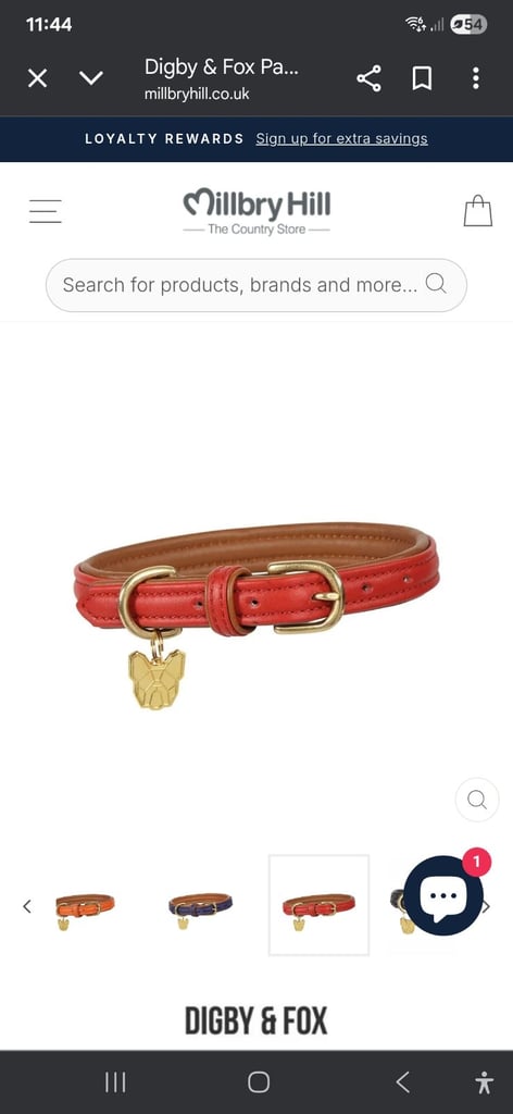 Digby & Fox large dog collar