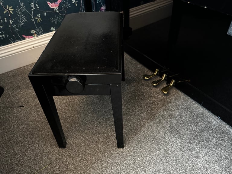 Upright Piano (hybrid - switches digital and acoustic modes)