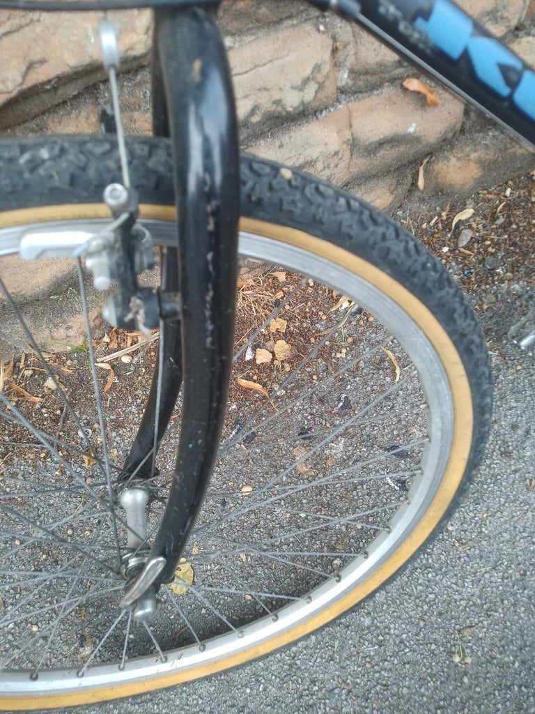 Kona Fire Mountain Race Light, Project 2 Vintage Retro Mountain Bike