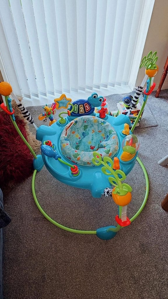 image for Baby Einstein Bouncer / Jumperoo