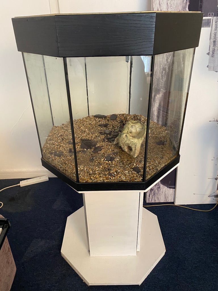 image for Large fish tank with all accessories -