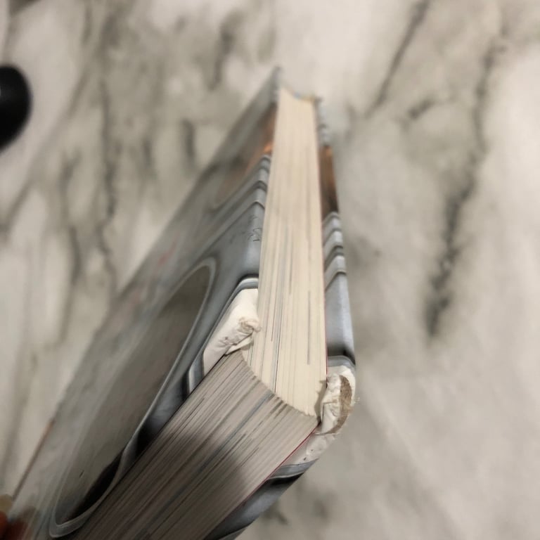 The Film Book