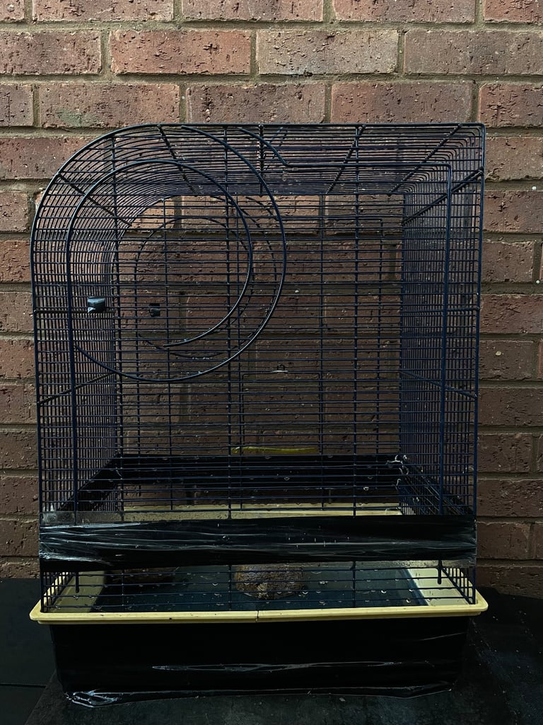 BIRD CAGE 
