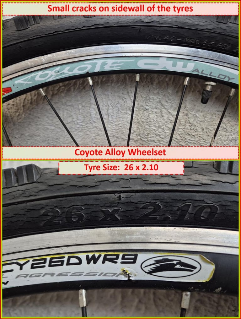 26 inch Bike Wheel Set Double Disc - 7 cog