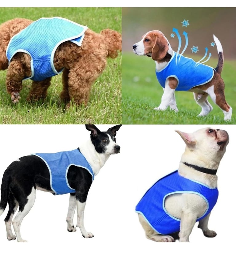 Dog Cooling Vest