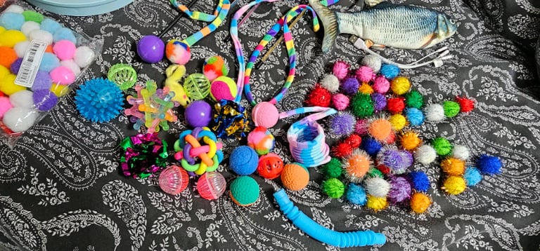 Extra Large Bundle Of Cat/Kitten Toys 