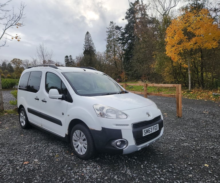 Peugeot PARTNER TEPEE 2014, Manual, 1560 (cc), 5 doors