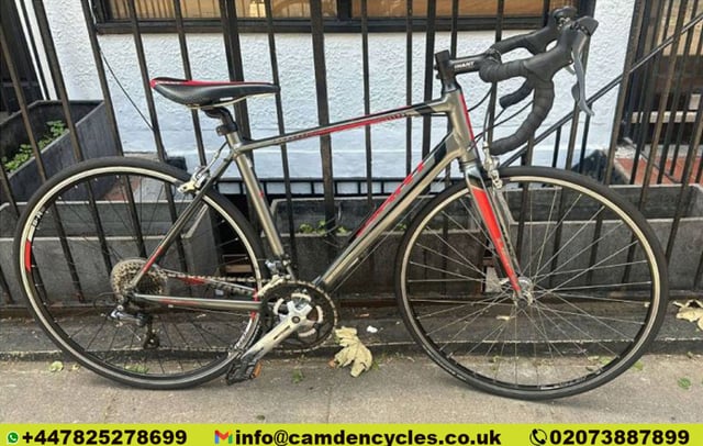 Giant road bike gumtree hotsell