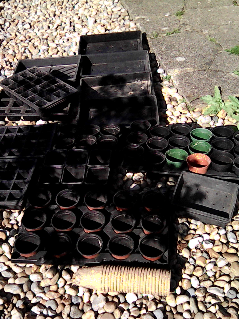 Job lot of seed trays etc