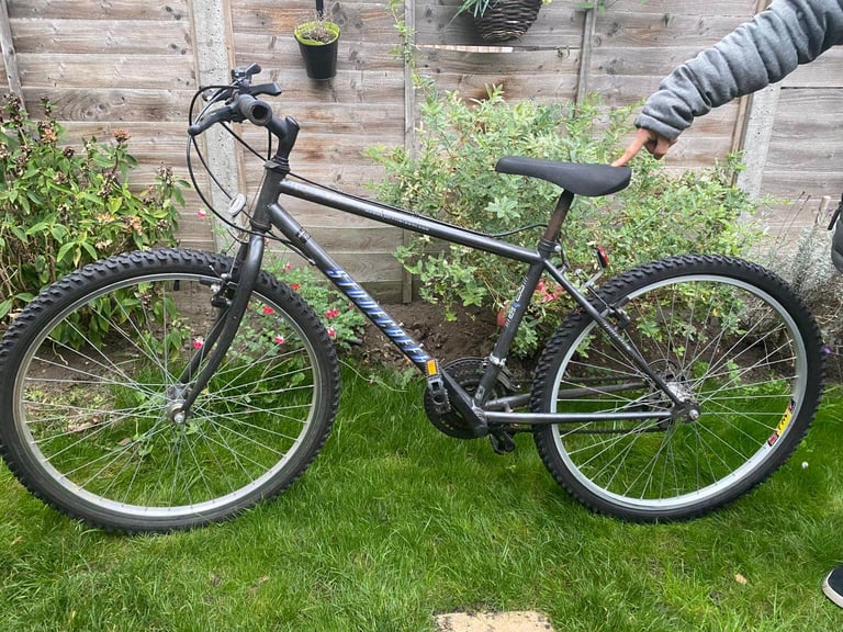 image for Teenage mountain bike 