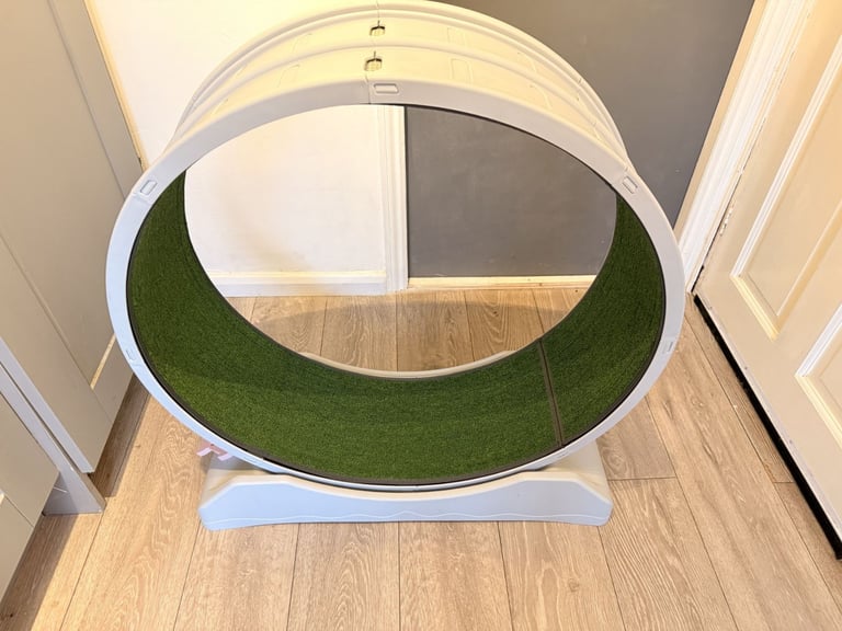 image for Cat exercise wheel