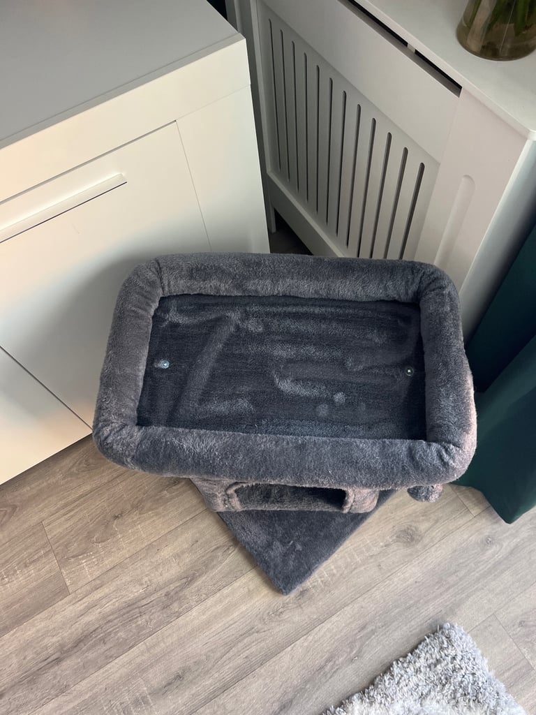 Cat bed 