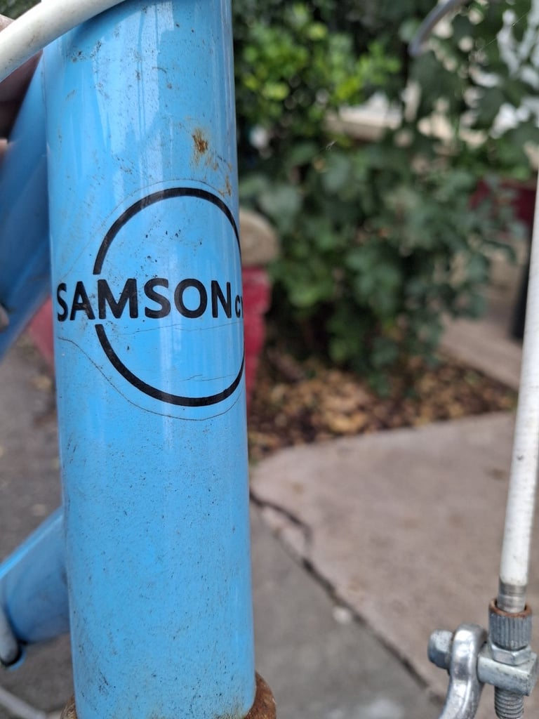 Samson 7 speed vintage. Project bike