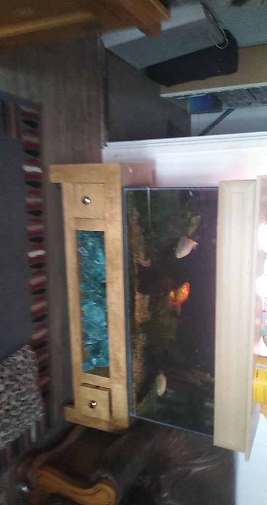 image for 4ft fishtank 
