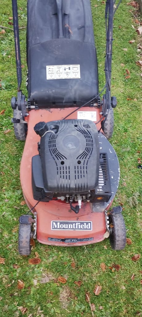 image for Petrol lawnmower 