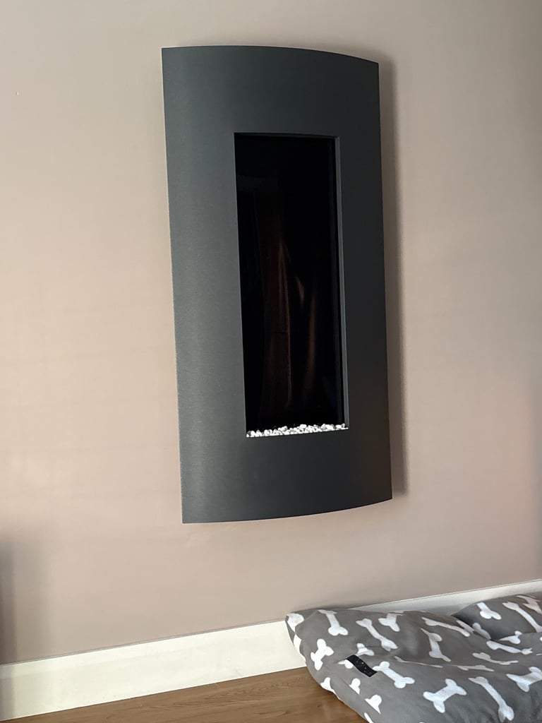 Electric fire