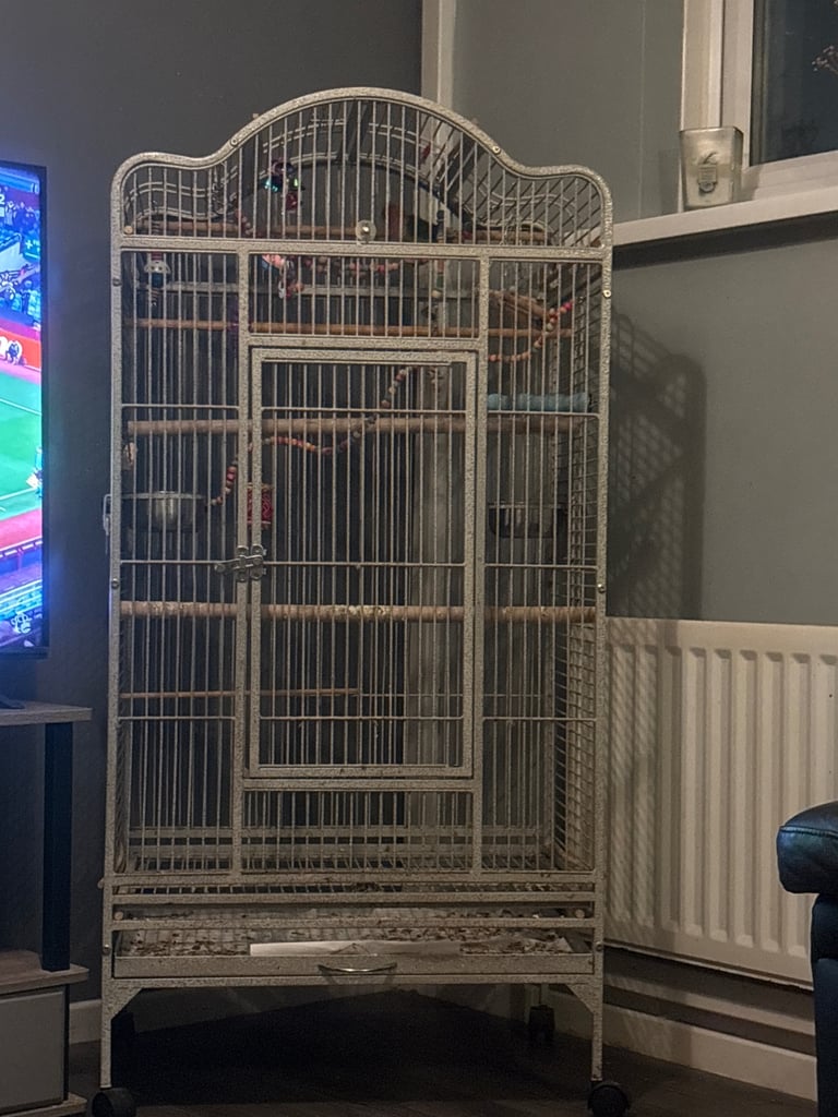 image for Love bird and cage 