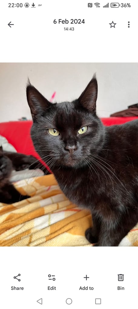 Brother and sister titch & lola 