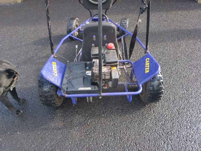 Petrol Engine Go Kart 195cc