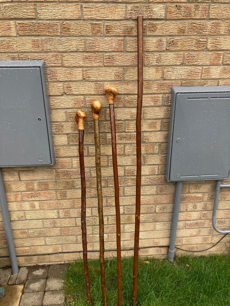 Hiking sticks 