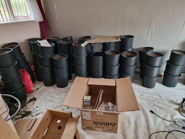 Hydroponic grow equipment joblot isomax extractor ballasts lights lamps carbon filter acoustic fans