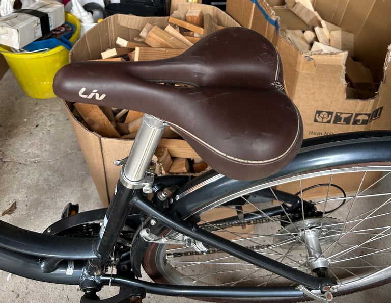 Liv flourish bicycle 