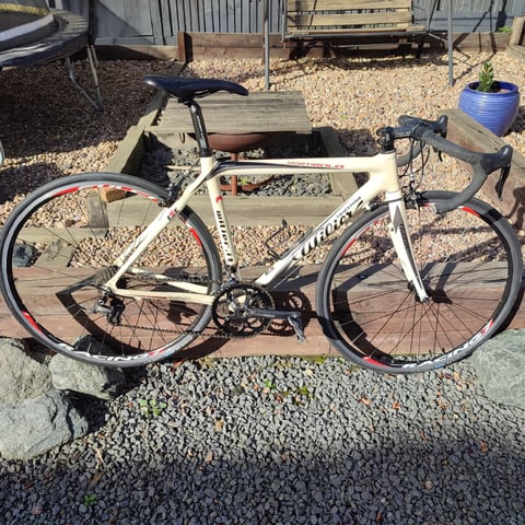 Wilier Trieste Mortirolo Carbon Fibre Road Bike in Hailsham