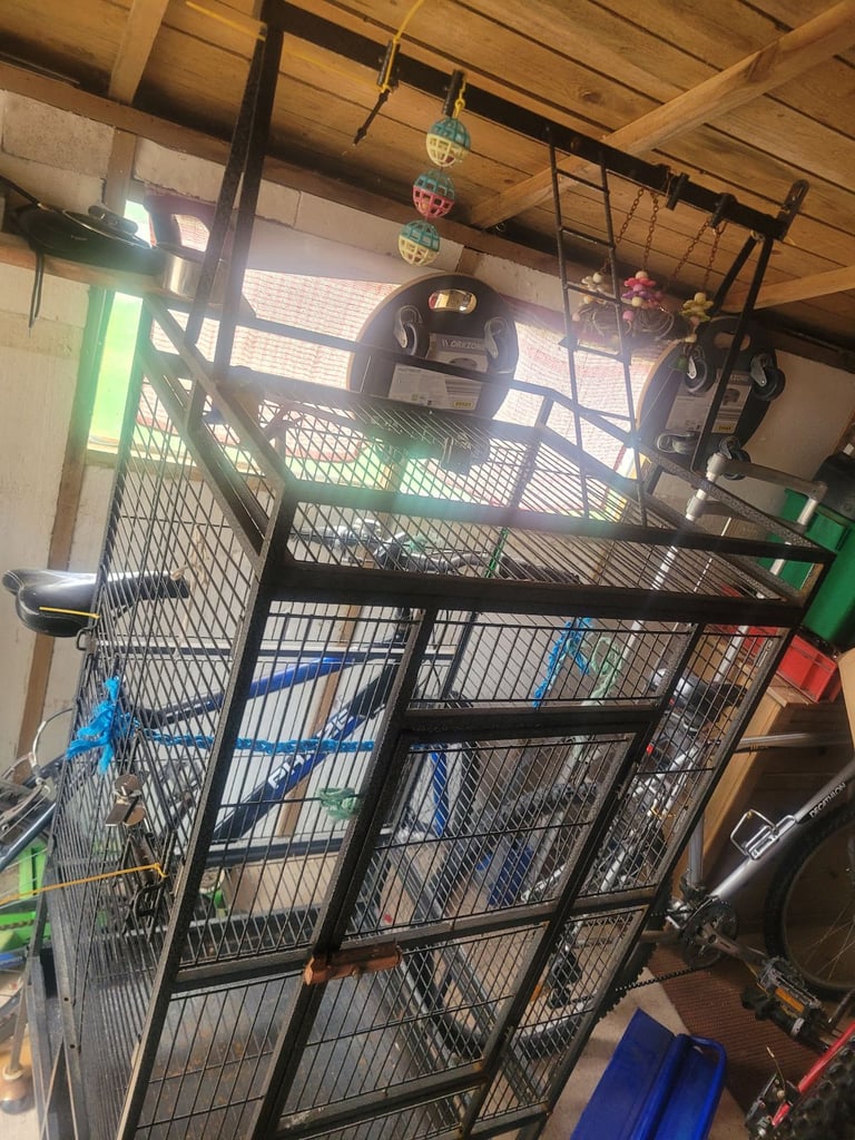 Parrot/bird cage