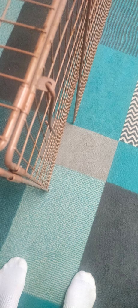 Copper Coloured Metal Fireguard used