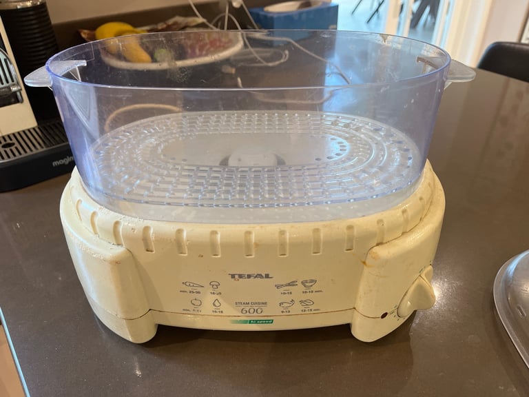 Food steamer 