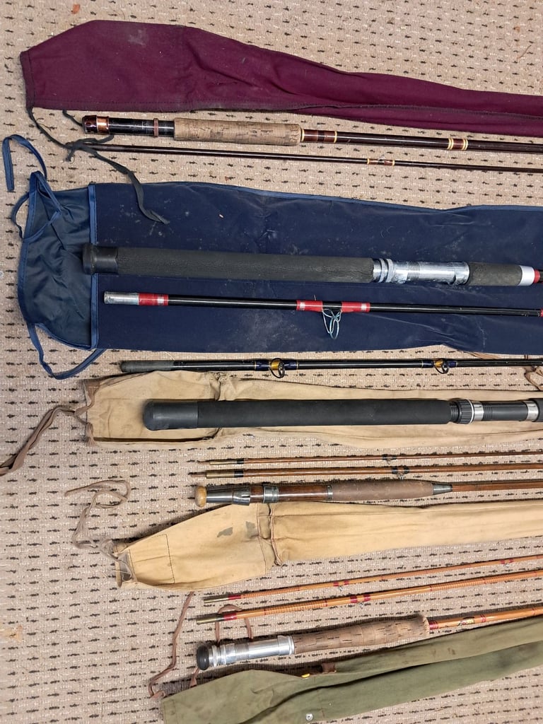 A collection of fishing rods