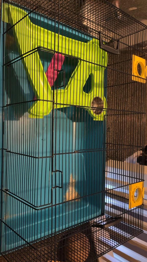 Free hamster cage 