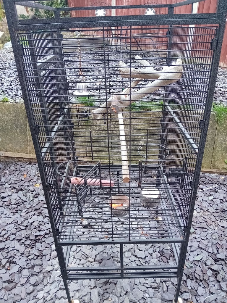 Parrot cage 