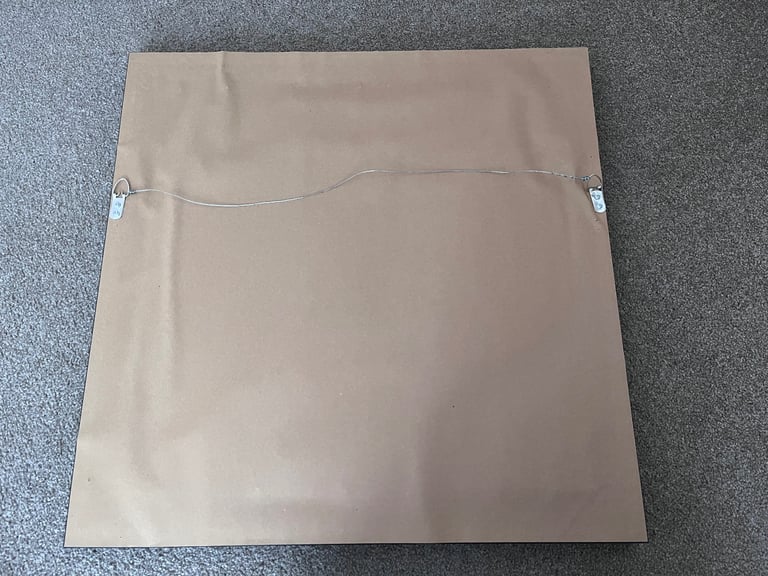 Pair of framed bird prints