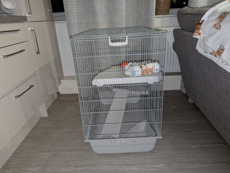Large rat cage 