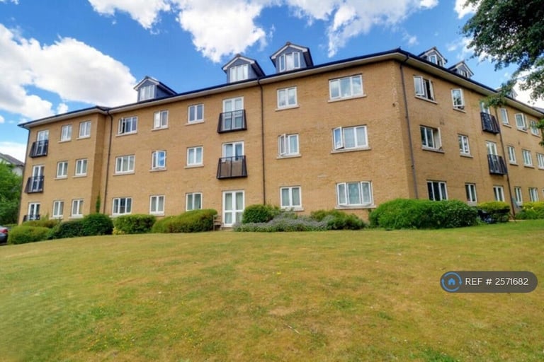 3 bedroom flat in Bloyes Mews, Colchester, CO1 (3 bed) (#2571682)