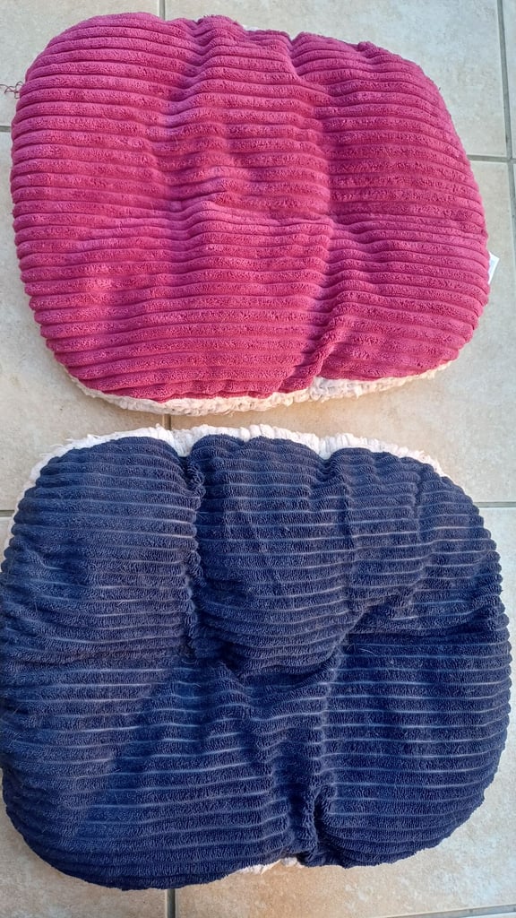 Cat beds, caves, blankets, grooming, scratch posts,litter tray