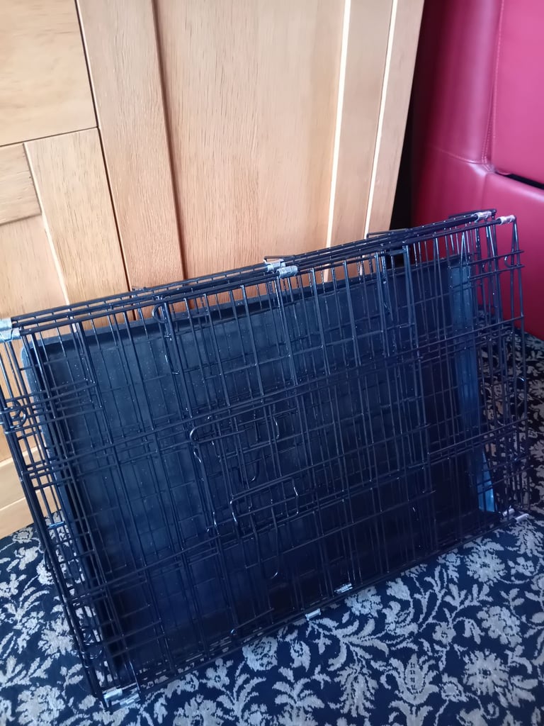 For sale pet equipment ⁹