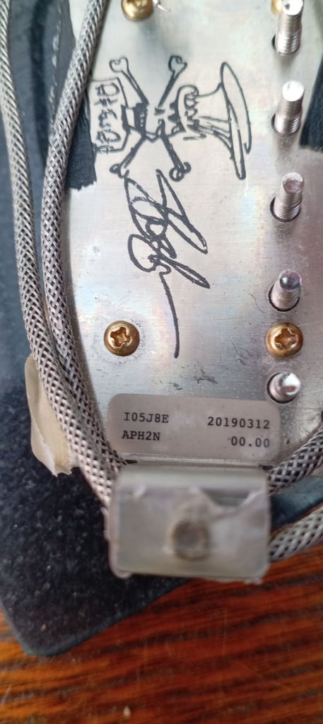 Slash guitar pickups
