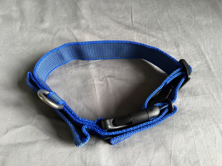 Julius-K9 dog collar