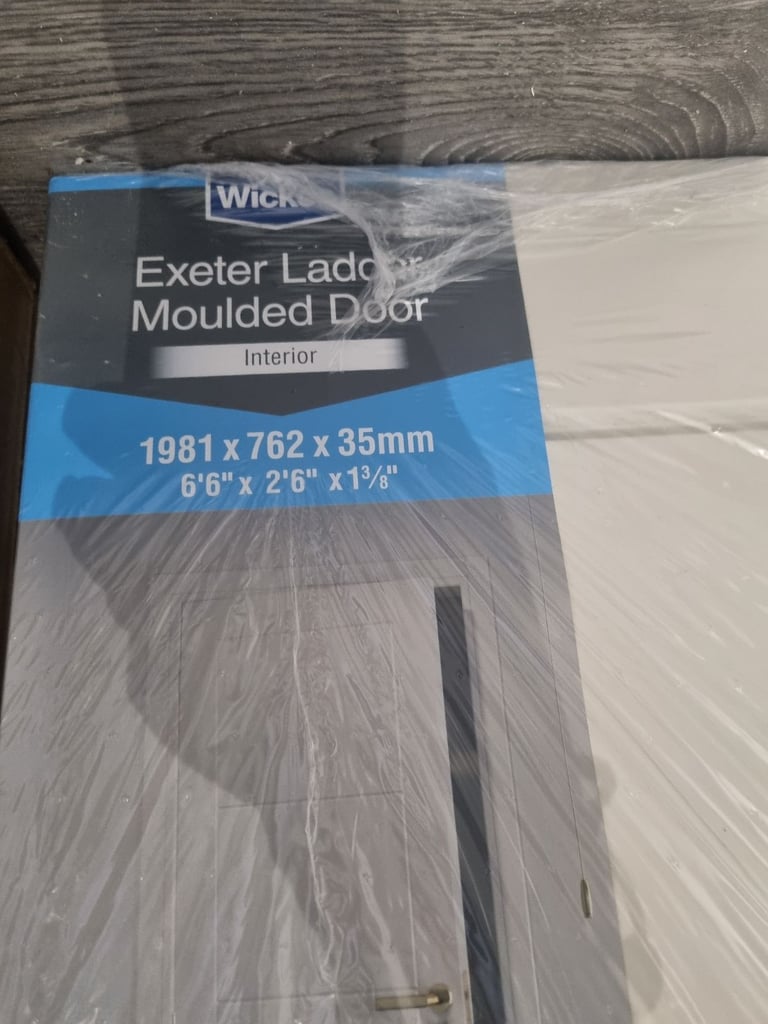 Brand new ladder door