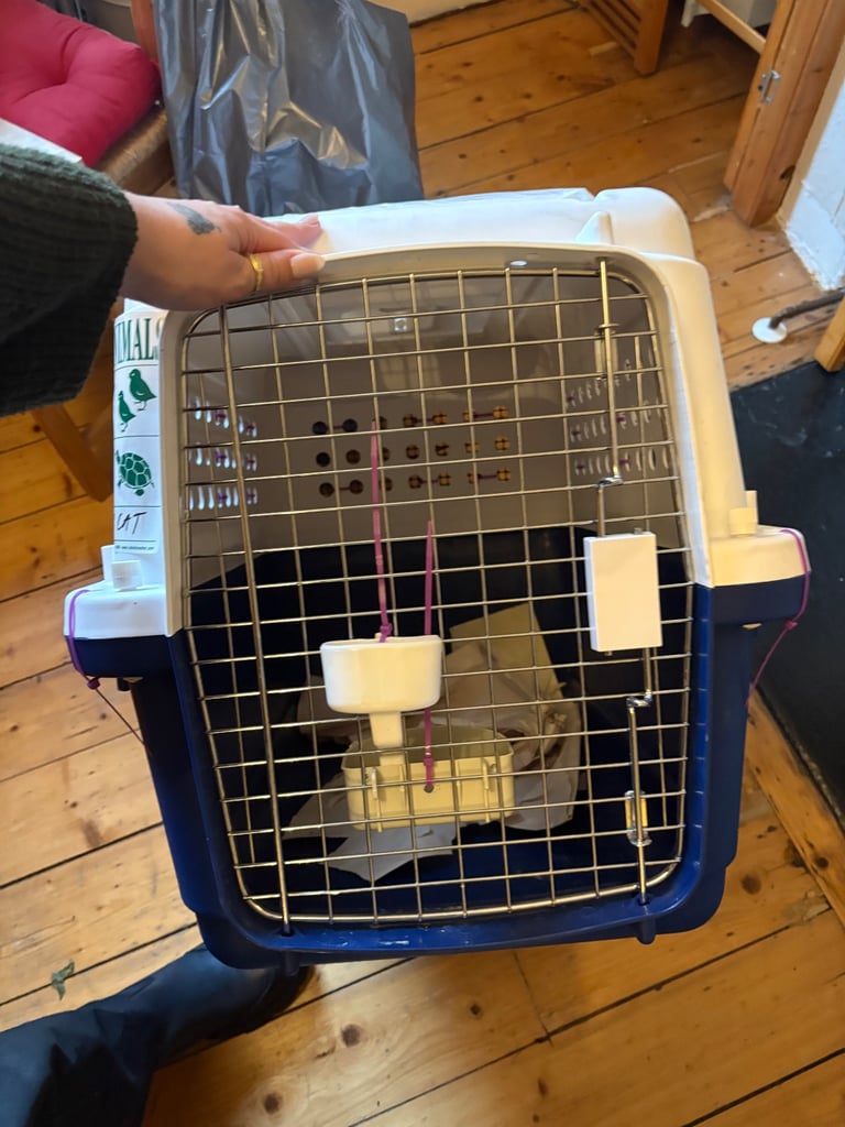 Airline approved pet carrier  