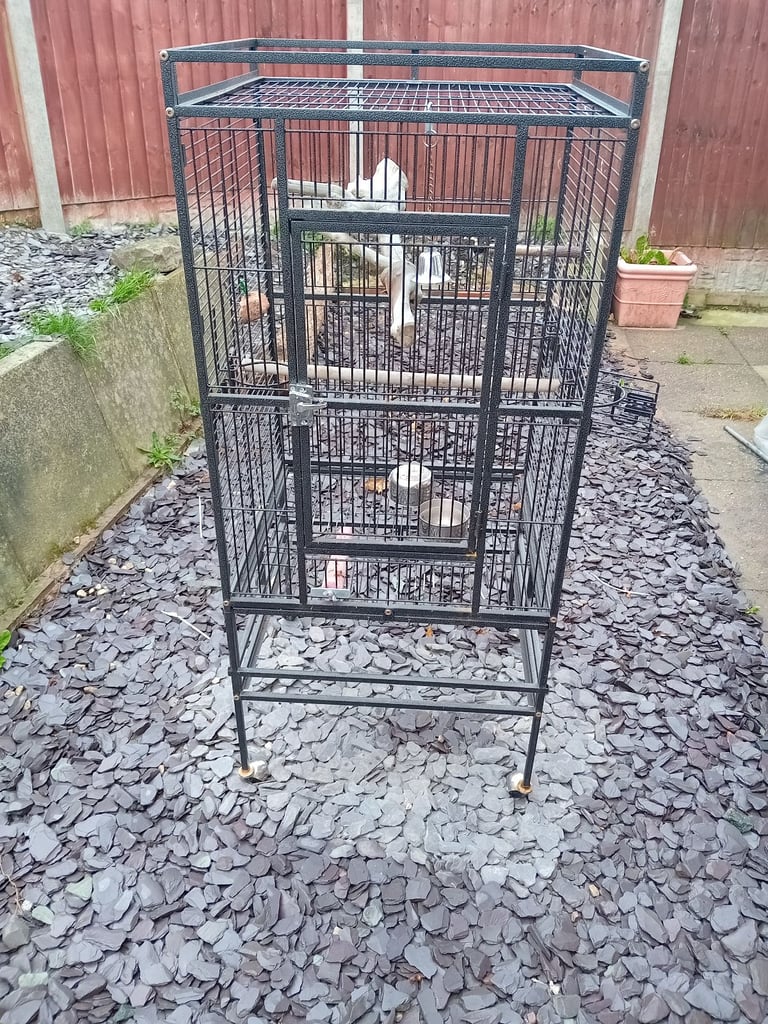 Parrot cage 