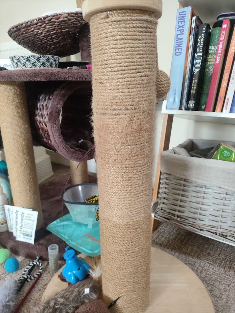 Huge Bundle of Equipment for Cats! Very good condition!