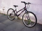 ids Bike by Free Spirit, Purple, 24 inch Kids 8+ Years, JUST SERVICED / CHEAP PRICE!