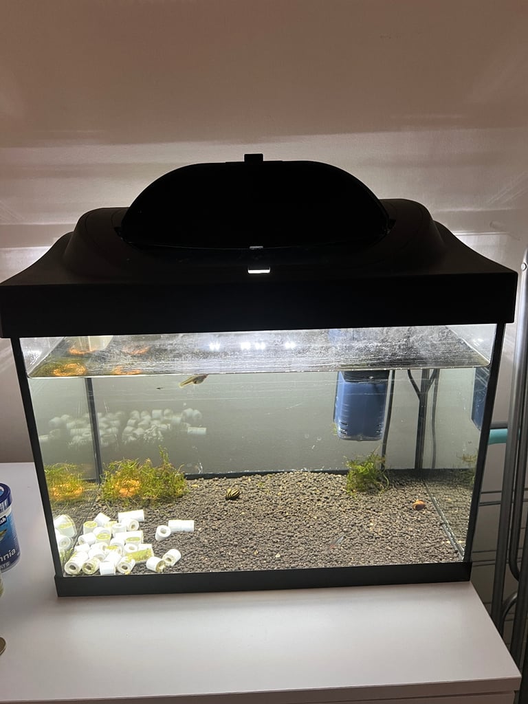 image for Fish tank