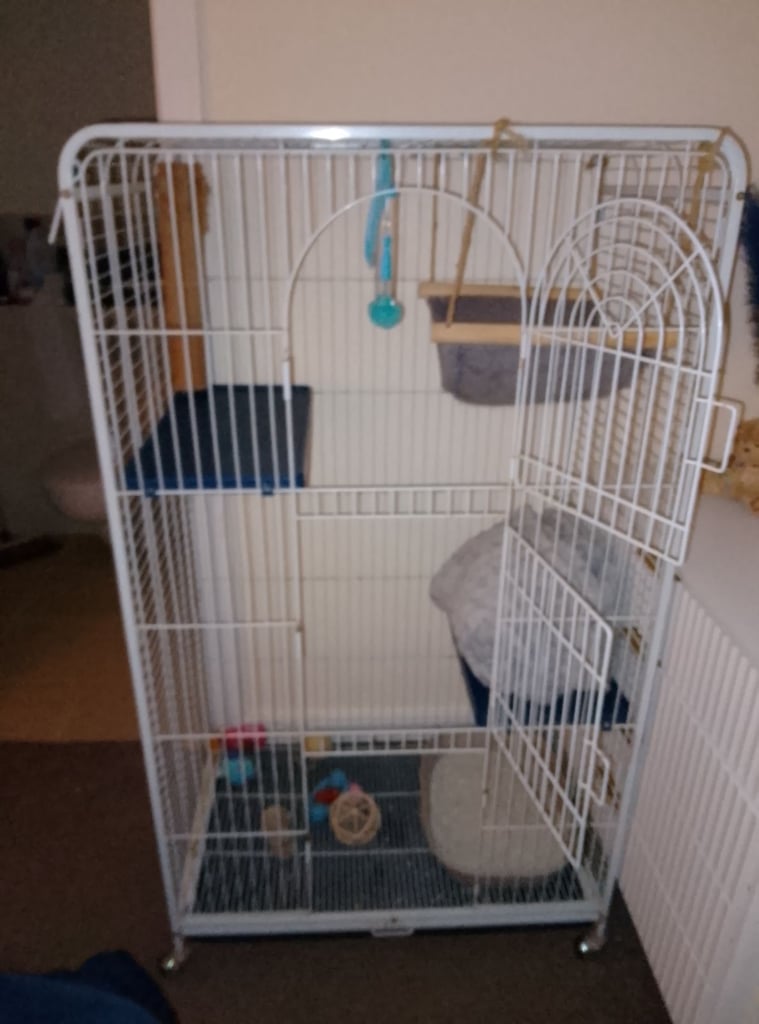 Bird cage . Parrot cage 