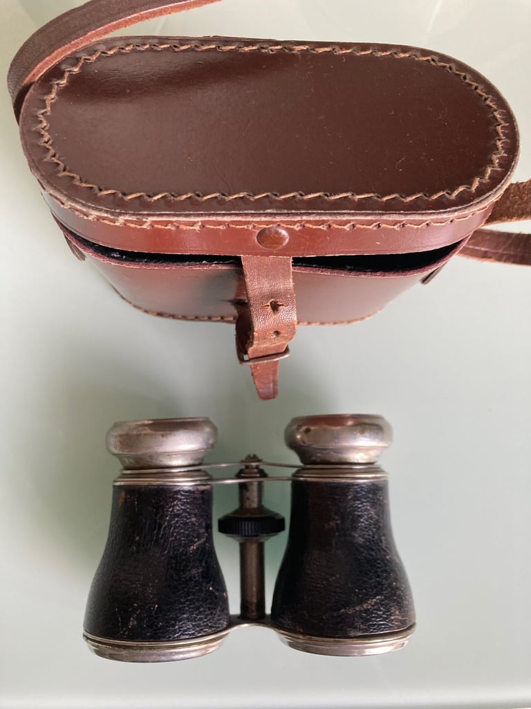Vintage binoculars