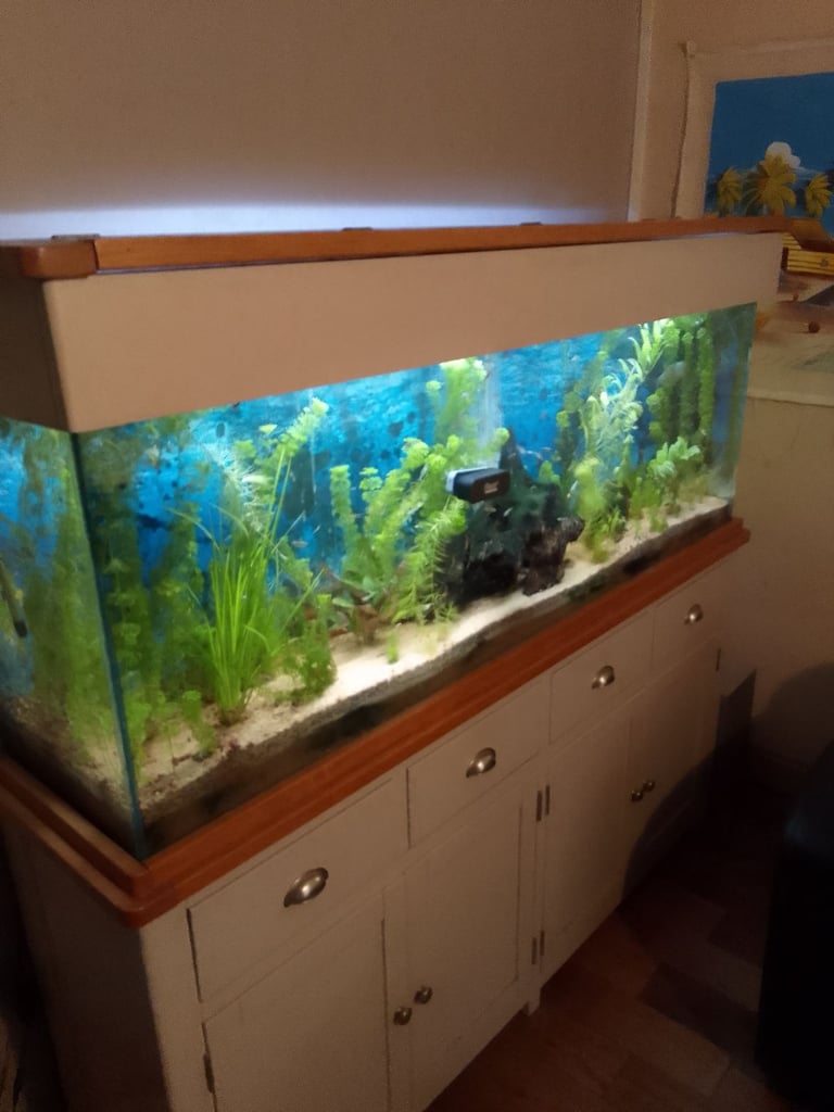 Fish tank 300 liter 
